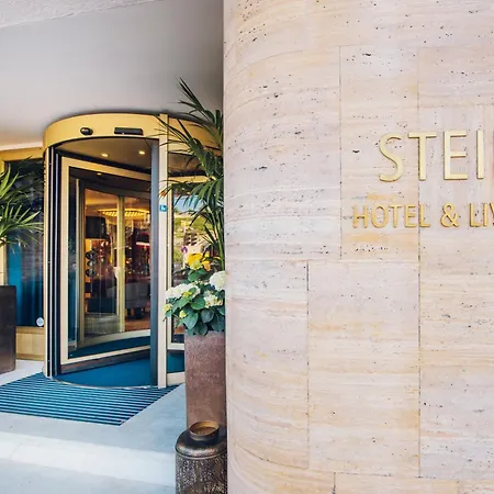Stein - Adults Only
